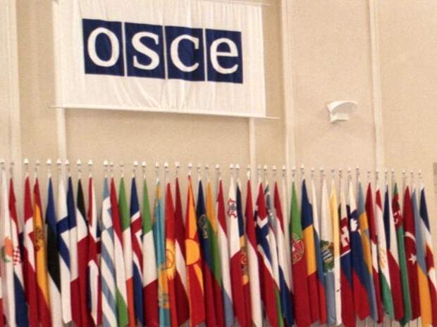 Российская делегация покинула заседание ПА ОБСЕ из-за проекта резолюции Украины по Крыму