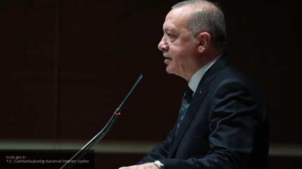 Эрдоган заявил, что Турция продолжит сокрушать курдов-террористов в Сирии