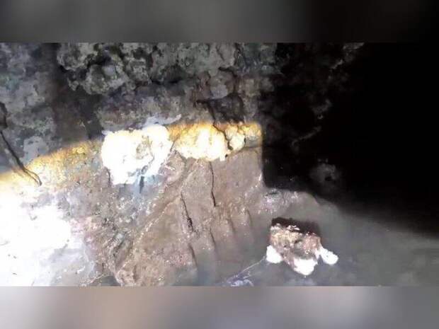 Жители улицы Ползунова бьют тревогу из-за затопленного подвала