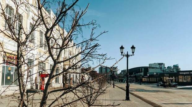 Жара до +24 градусов согреет жителей Алтайского края в выходные