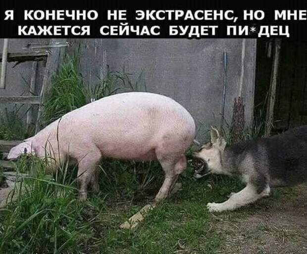Каждый день