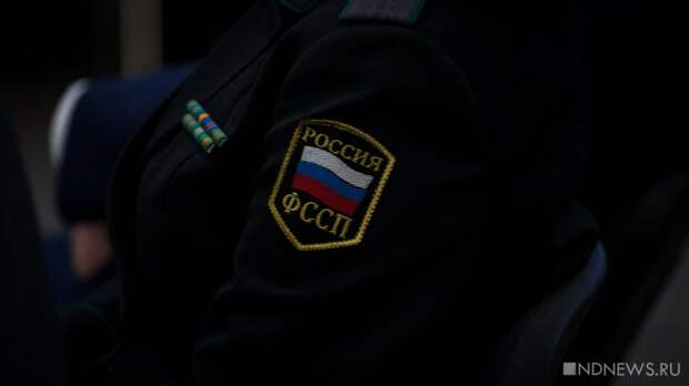 С жителя Челябинска взыскали 1,7 млн рублей алиментов