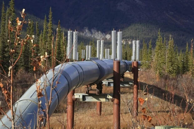 Дрозденко: нефтепровод в Ленобласти не был поврежден при атаке БПЛА