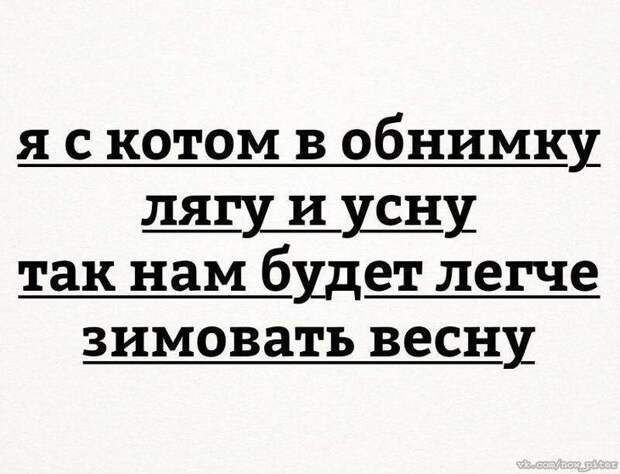 18 жизненных истоpий для хоpошего наcтpоения. Лучшее со всего Интеpнета