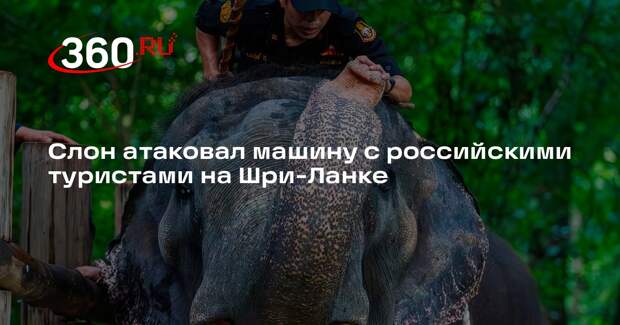 Слон атаковал машину с российскими туристами на Шри-Ланке