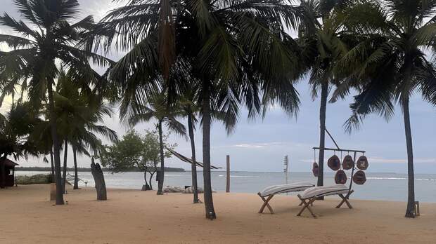 Мини-тест: Смогли бы вы выжить на острове в Индийском океане?