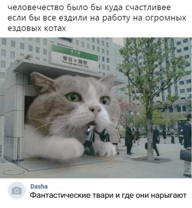 Подборка картинок. Дневной выпуск (23 фото)