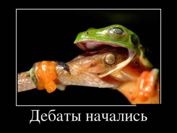Демотиваторы (30 фото)