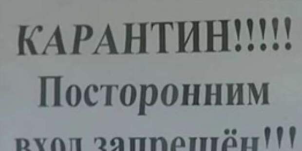Прикольные вывески. Подборка chert-poberi-vv-chert-poberi-vv-34551017092020-2 картинка chert-poberi-vv-34551017092020-2