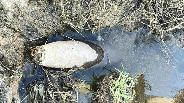 В ТСН «Счастливый» в Ленобласти нашли снаряд времен ВОВ