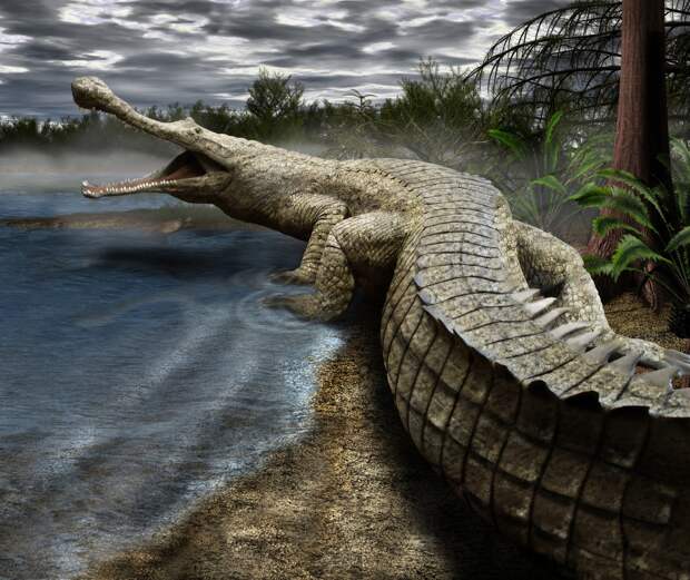 sarcosuchus