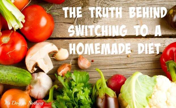 So many people told me that switching to a homemade diet would be so easy. Well, I think they were lying. Here's the truth behind switching from dry food to fresh, home-cooked meals.