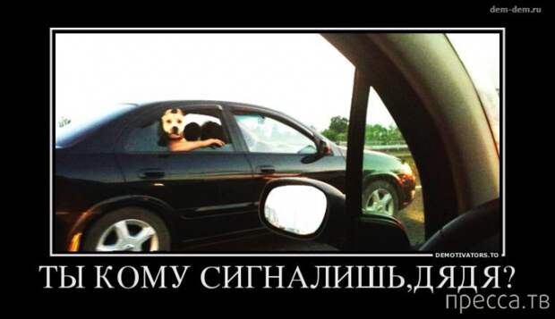 Прикольные демотиваторы со смыслом, часть 10 (43 фото)