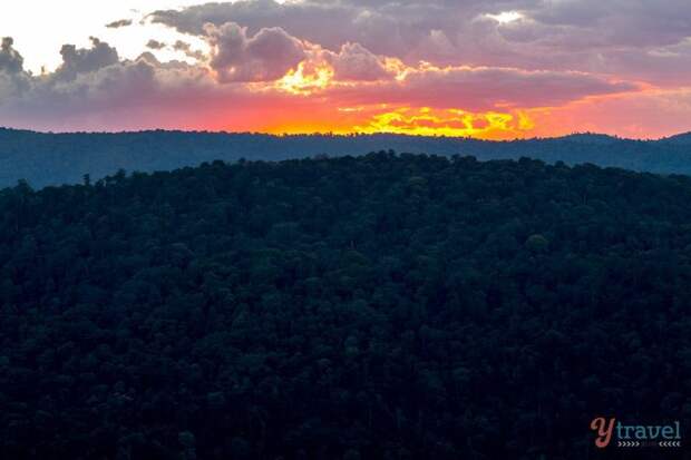 Sunset in the Binna Burra Mountains in Lamington National Park, Gold Coast Hinterland, Australia