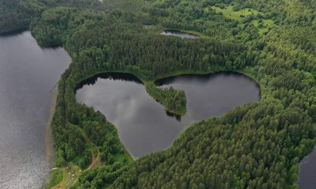 Проекты о медведях, летучих мышах и птицах Поморья получили федеральные гранты