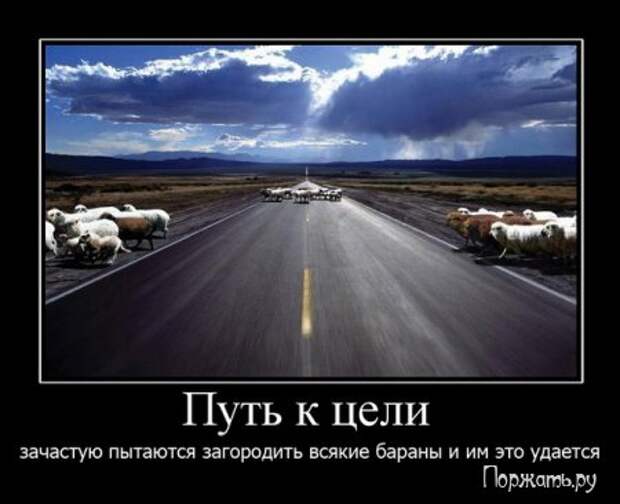 Демотиваторы прикольные и со смыслом, смешные и серьезные.
