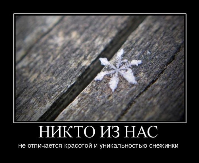 Демотиваторы (30 фото)