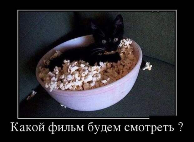 Демотиваторы (30 фото)