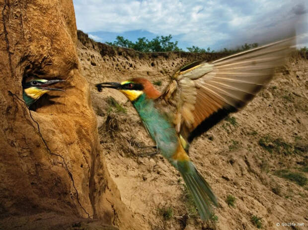 25 лучших фотографий National Geographic. Часть 1