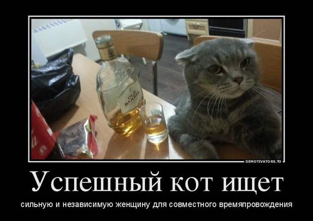 Такие вот демотиваторы...