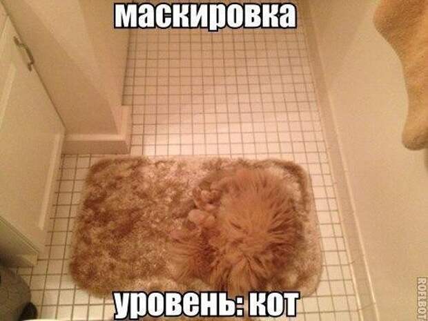 Смешные картинки с надписями прикол, юмор