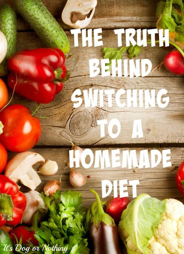So many people told me that switching to a homemade diet would be so easy. Well, I think they were lying. Here's the truth behind switching from dry food to fresh, home-cooked meals.