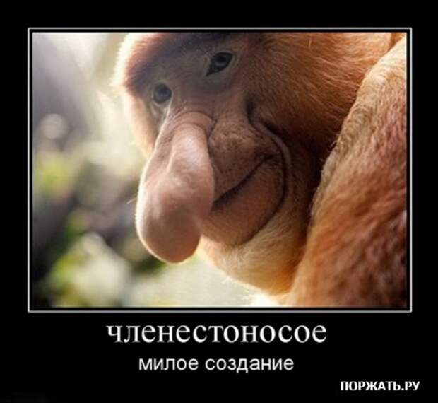 Хотели демотиваторов? Это есть у нас!