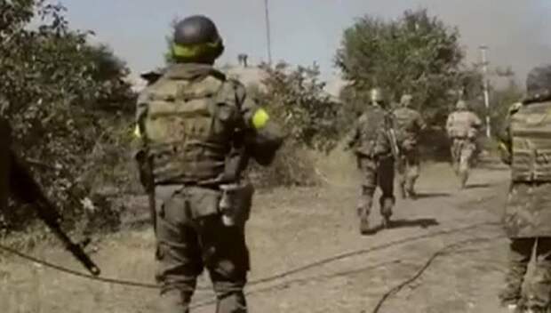 Военные эксперты: Украина готовит блицкриг в Донбассе Военные эксперты: Украина готовит блицкриг в Донбассе