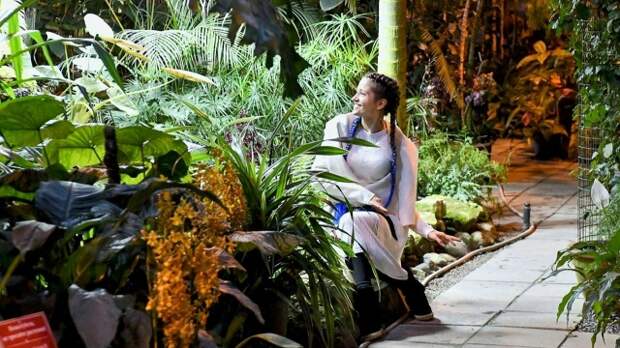 Сон-трава расцвела в «Аптекарском огороде»