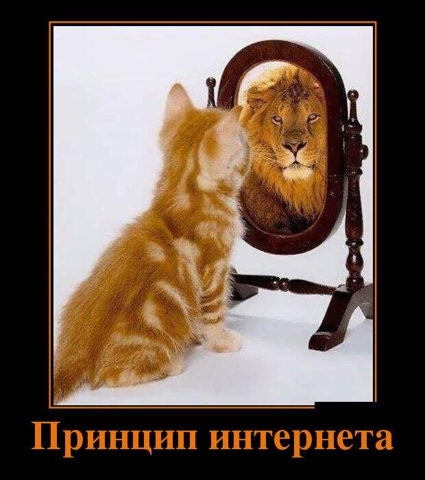 Демотиваторы (30 фото)