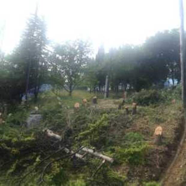 Новости Крыма