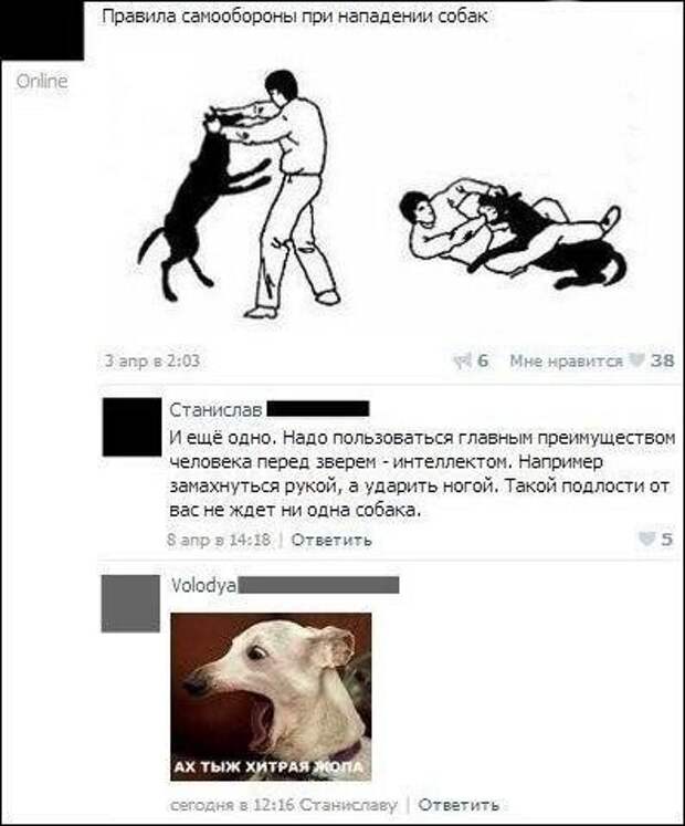 Юмор из соцсетей