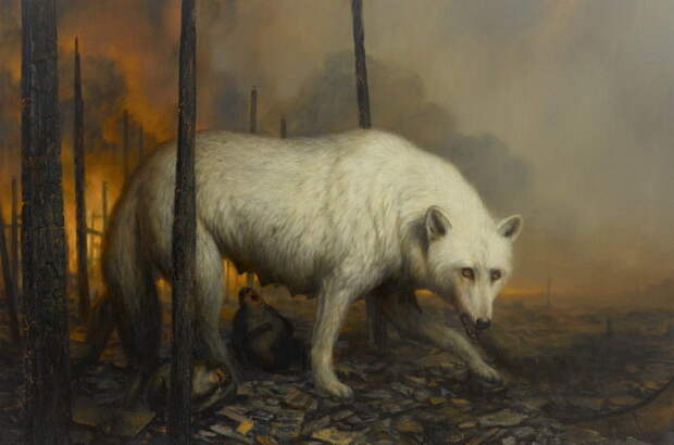 Картины Martin Wittfooth