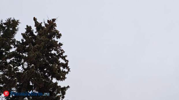 На территории Пензенской области обнаружили обломки беспилотника