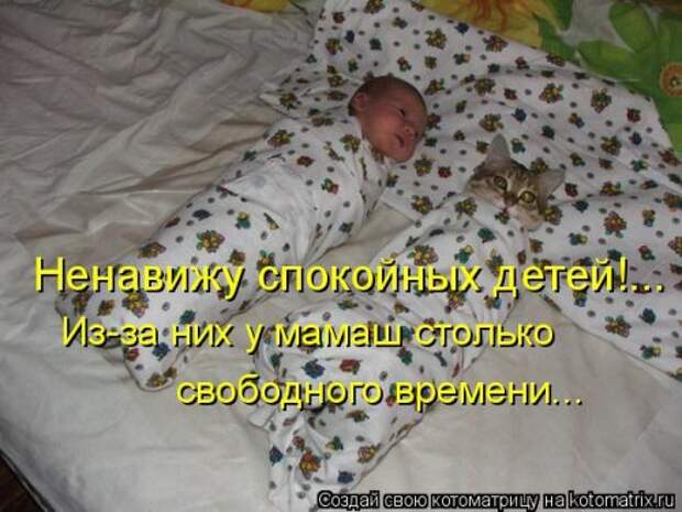 Котоматрица свежак (36 шт)