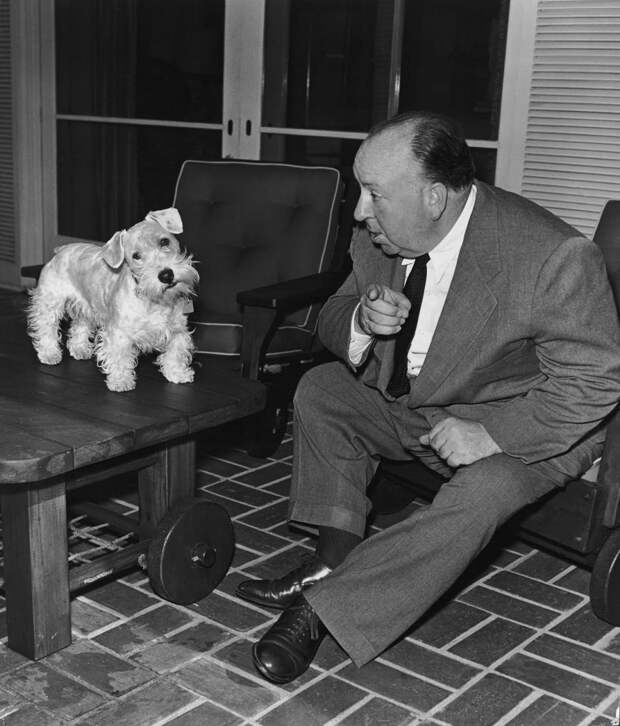Альфред Хичкок и его собака Сара.