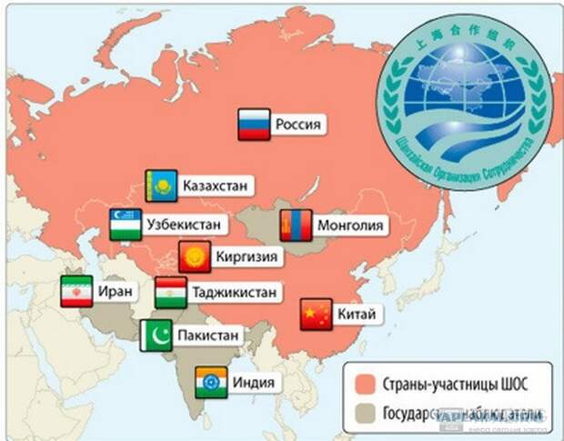 Здоровая Россия: В ШОС озаботились охраной мозгов от Западной пропаганды.