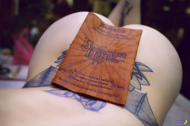 Попдборка - 274