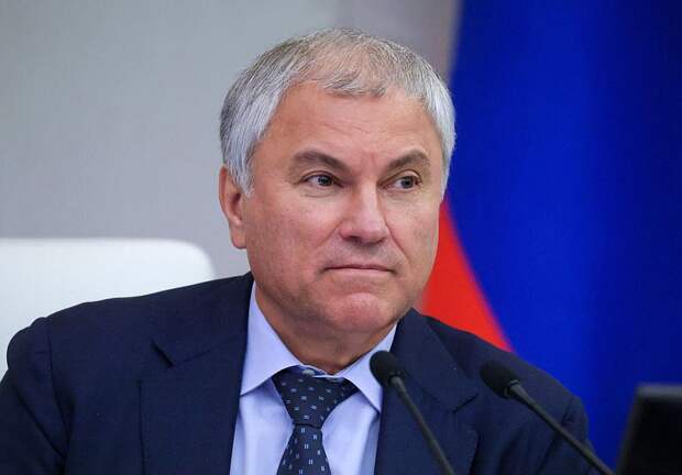 Володин: депутаты положительно оценивают работу МИД