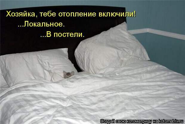 Лучшие котоматрицы недели