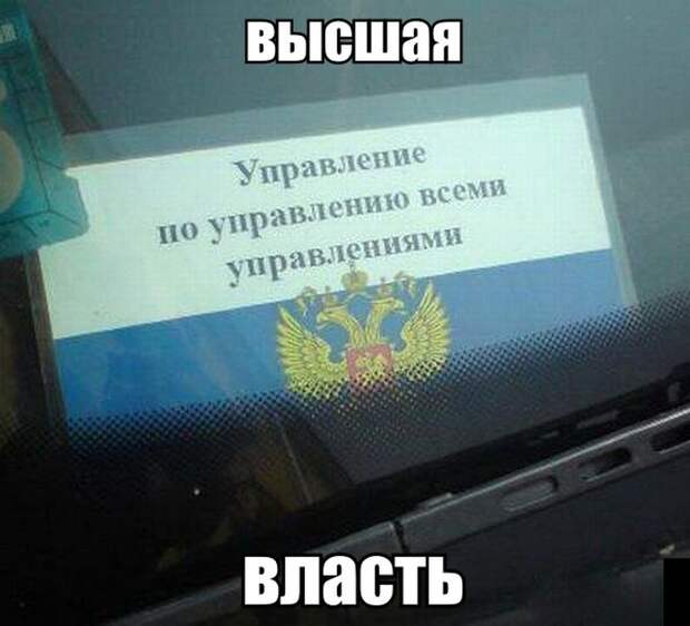 Смешные картинки с подписями катинки, прикол, юмор