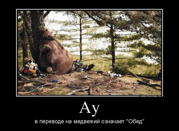 Веселые и ржачные демотиваторы для поднятия настроения (10 фото)
