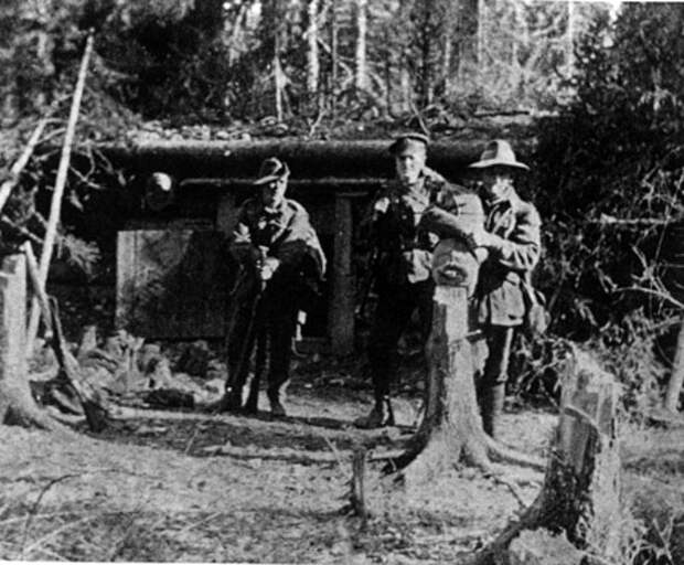 Интервенция. "Крокодил Данди" в Мурманске и Архангельске. 1918 - 19 г. 