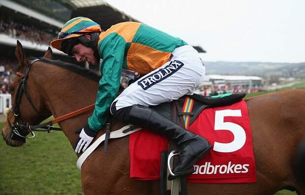Ladbrokes прекращает спонсирование World Hurdle в рамках Челтнемского фестиваля