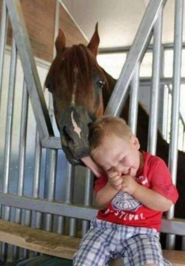 Прикольные картинки