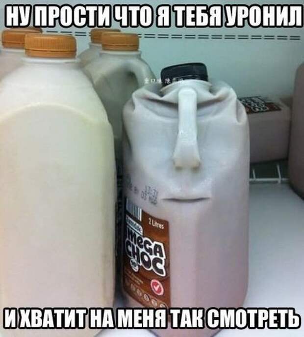 Смешные картинки с подписями катинки, прикол, юмор