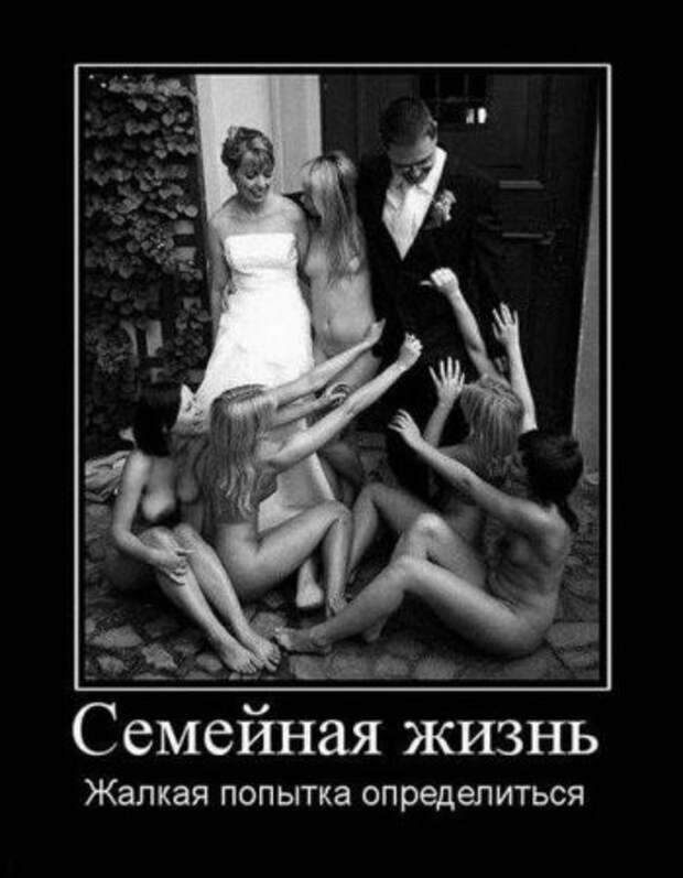 Демотиваторы картинки смешные сюжеты.