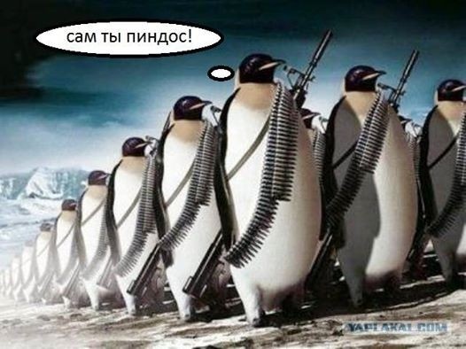 Бесполитик: Почетная кличка – «Пиндос»