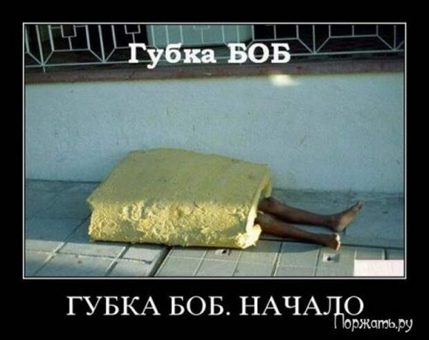 Димативаторы, новые прикольны 25 фото