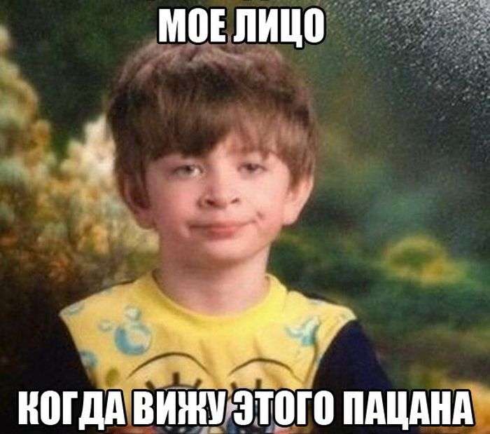 Смешные картинки с подписями катинки, прикол, юмор